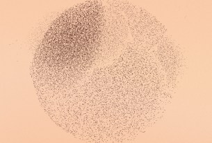 The Wandering Hearts