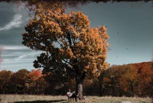 Charles Wesley Godwin