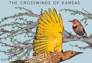 Bill Scorzari--The Crosswinds of Kansas