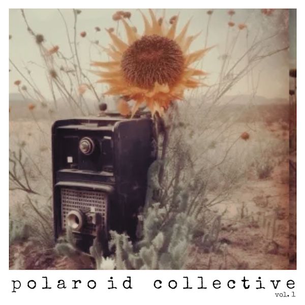 Polaroid Collective