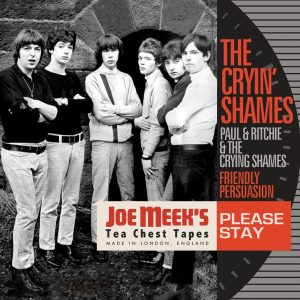 cryin-shames-Please Stay