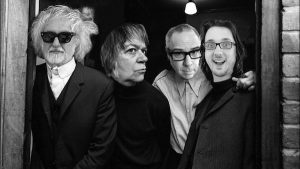 The Young Fresh Fellows