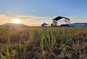 WoodyFest 2024 -Part 1