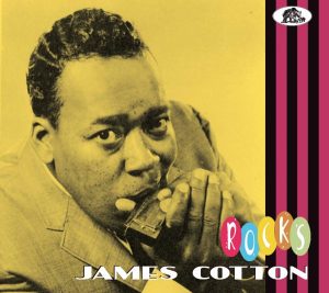 James Cotton Rocks