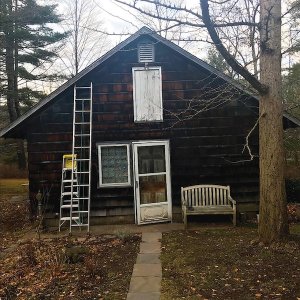 Birdfeeder in Grooves & Cuts August 2024