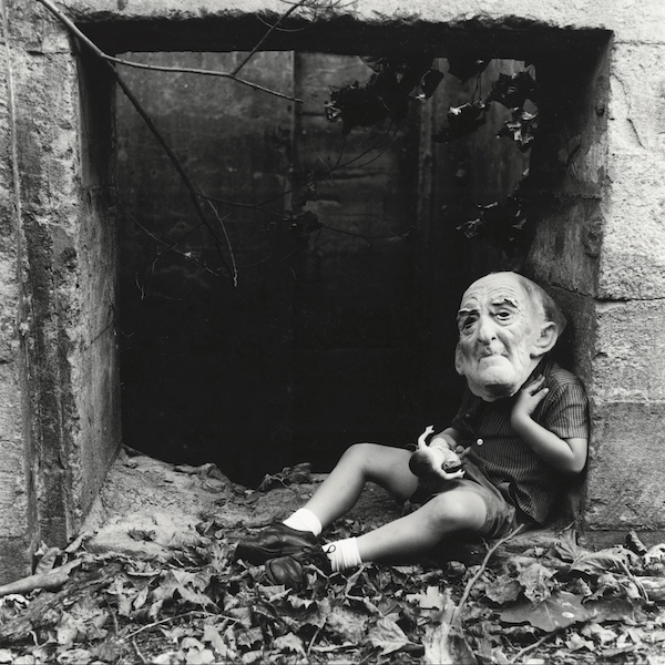 Loose Cattle "Someone's Monster"