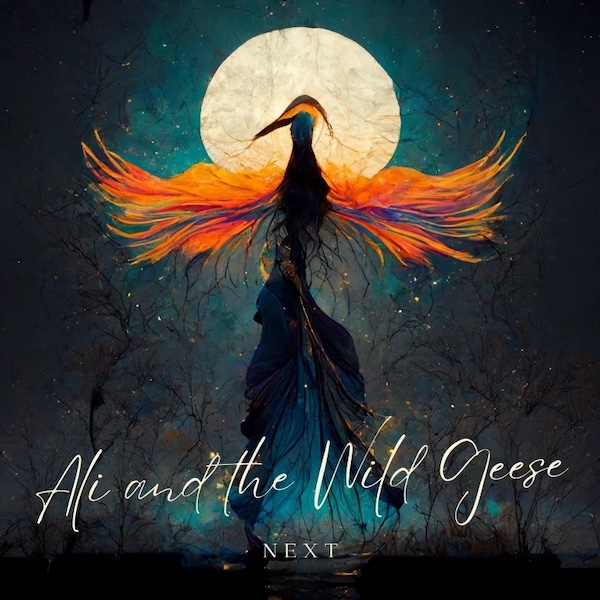 Ali and the Wild Geese