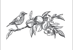 Anne Richmond Boston