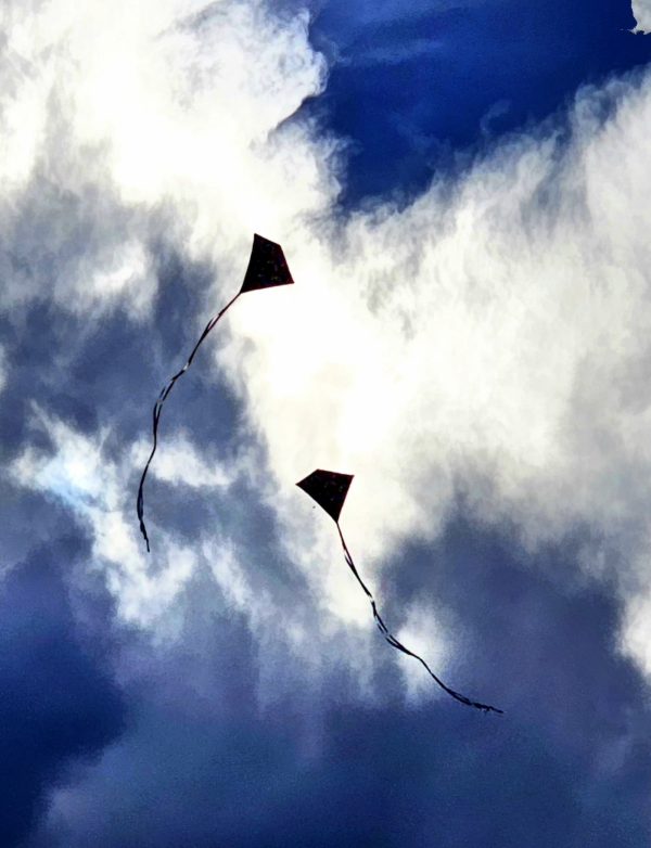 Chris Williams and Kid Reverie