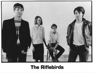 The Riflebirds