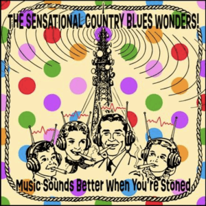 Sensational Country Blues Wonders!