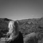 David Haerle