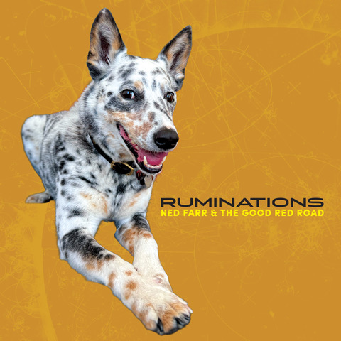 Ruminations