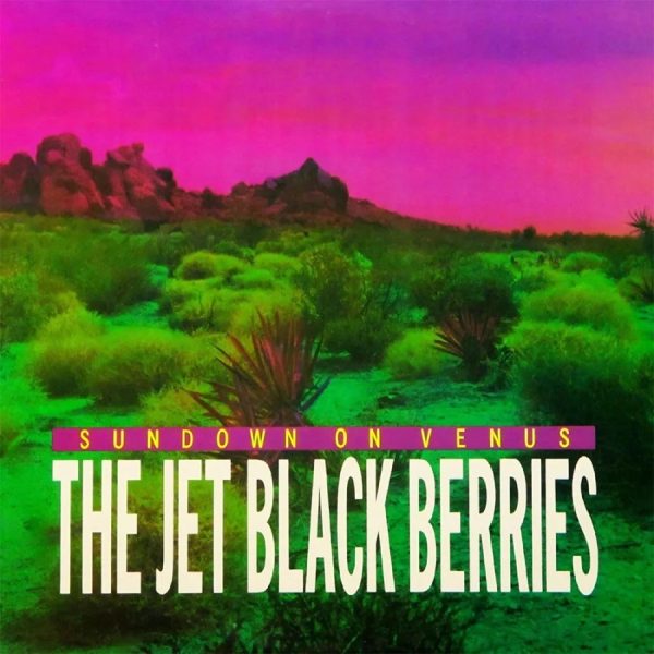 Jet Black Berries
